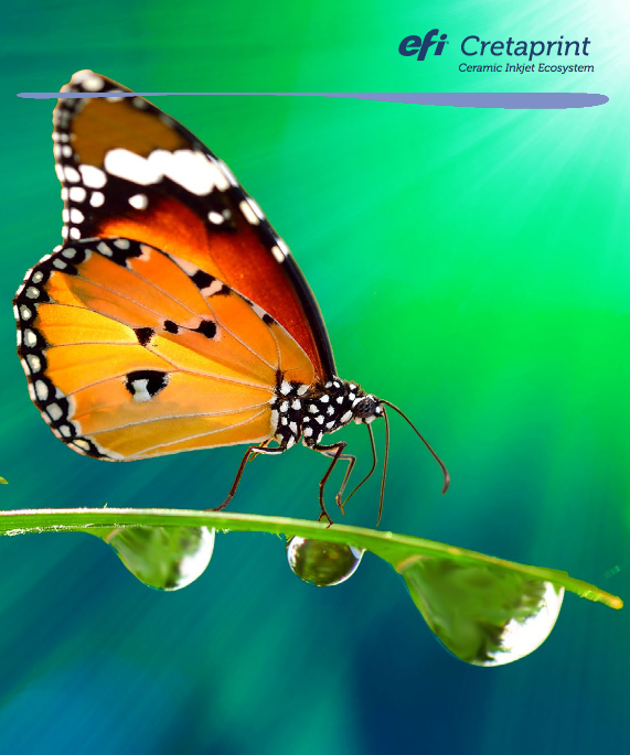 EFI Cretaprint 01